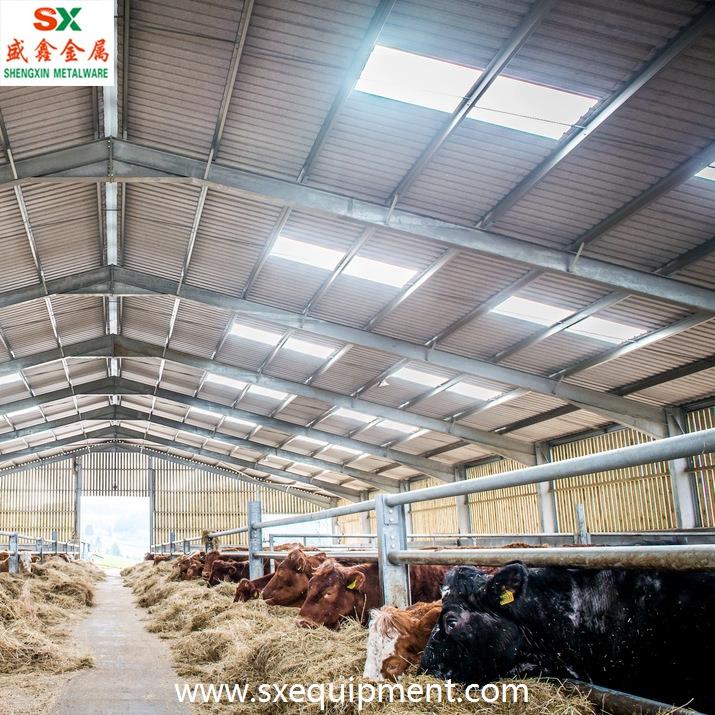 Beef Cattle Stall